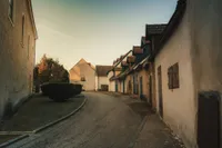 Portrait of Dave Thompson